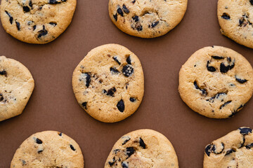 Top view of cookies with chocolate chips on brown background.