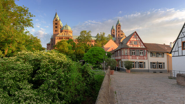 Dom zu Speyer, Speyerer Dom, Panorama