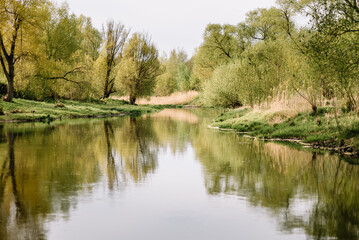 Swampy water landscape. View of the swamp. Forest river. Beautiful nature.