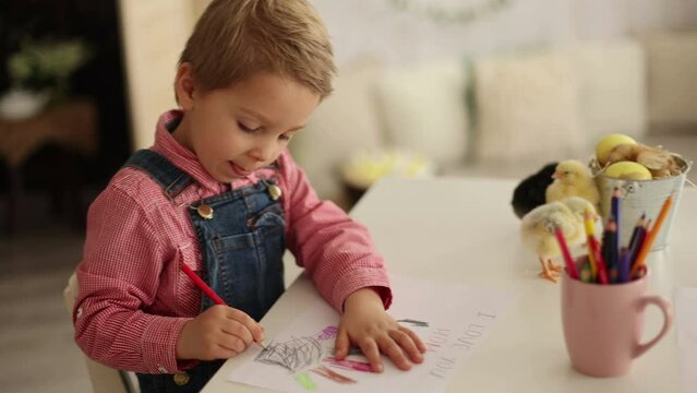 Cute boy, child in red shirt, drawing picture for Mothers day, little chicks on the table playing