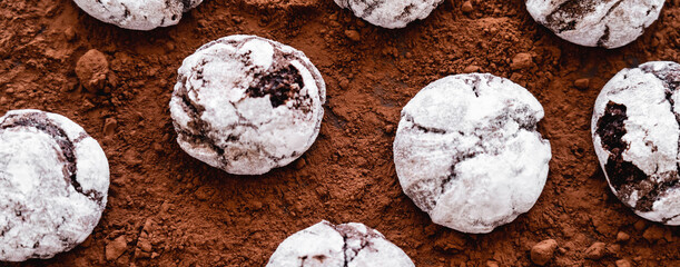 Top view of cookies with powdered sugar on cocoa powder, banner.