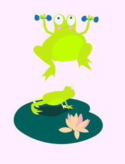 Cute frogs doing sports: plank, dumbbells