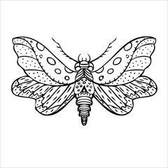 Plakat Night butterfly, moths. Hand drawn vector illustration. 