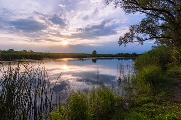 Summer evening by the river
