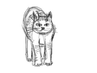 Doodle cat drawn illustration on white 