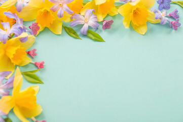 spring flowers on green  papper background - obrazy, fototapety, plakaty