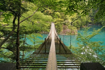 夢のつり橋
