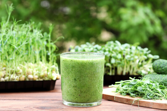 Green vegetable smoothie against background of greenery and microgreen. Healthy, vegan food, dieting concept. Selective focus