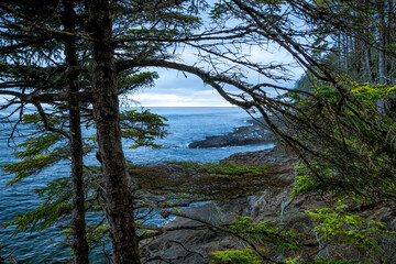 Beautiful view of seascape with trees in the foreground in West coast of Vancouver Island, BC Canada - obrazy, fototapety, plakaty