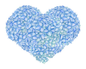Watercolor blue floral heart. Hand painted romantic floral arrangement with Hydrangea flower buds isolated on white background. Botanical print for love cards, wedding, invitations