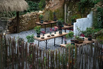 Fotobehang Empty bonsai workshop, trees displayed on wooden tables © 七 淋/Wirestock Creators