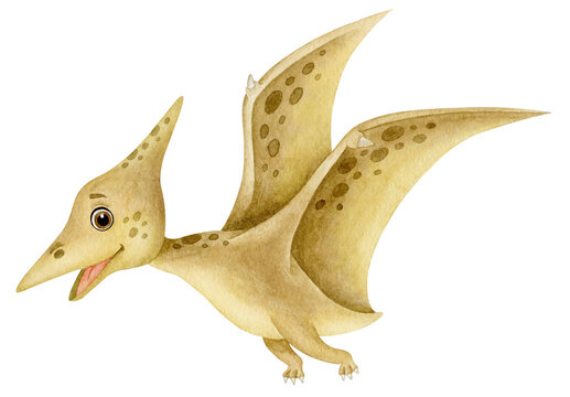 Dinosaur pteranodon