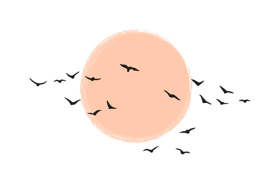 Birds Group Flying Against the Sun or Moon