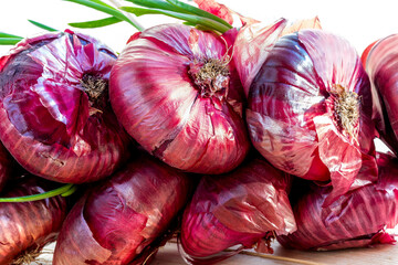 Sprouted onion of red dessert sweet onion. Sweet dessert red onion, flat shape. Onion has sprouted,...