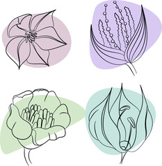 Set of hand-drawn ink flowers
