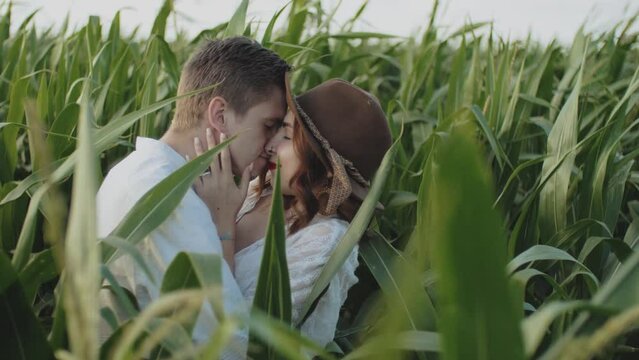 Loving couple in the corn field. slow motion. Couple hugging and kissing farmland medium shot . Caucasian man holding girl's face in his arms closed eyes. Couple, date, love and lifestyle concept.