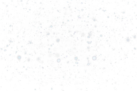 Snow Photoshop Overlays, snowscape backdrops, realistic snowflakes, freezelight effect, Christmas sessions png file