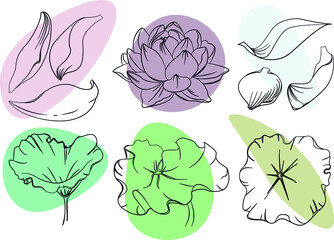 Set of hand-drawn ink lotus flowers, petals and leaves