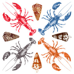 Watercolor set of colored lobsters and seashells painted illustration
- 505449444