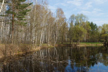 Moscow Oblast, Russia.  Spring view of lake shore near Electrougli town. Reflections in water.