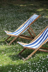 Two sun loungers in the garden, on green grass with daisies