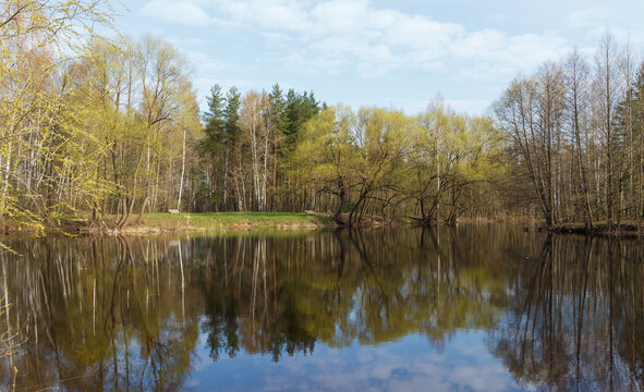 Moscow Oblast, Russia.  View of lake near Electrougli town. Spring. Bare trees.  Symmety. Reflections in water.