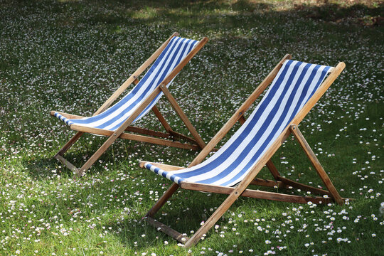 Two sun loungers in the garden, on green grass with daisies