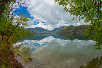 Gorgeous emerald-green lake Alpsee in the German Alps in Hohenschwangau near castles Hohenschwangau...