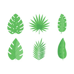 Set of exotic tropical leaves