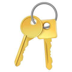 Bunch of two golden keys. Vector icon