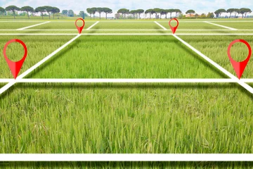 Fotobehang Land plot management - real estate concept with a vacant land in a wheat field available for building construction and housing subdivision for sale, rent, buy or investment © Francesco Scatena