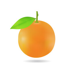 Fresh orange with green leaf  isolated on white background.Fruit flat icon.Vector.Illustration.
