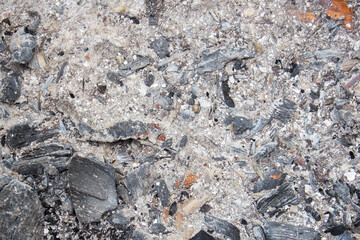 The texture of ash. Ash on the background. A burnt tree. Consequences of fire and smoking. Smoker's lungs