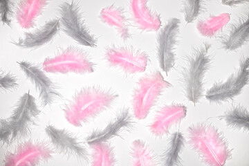 Natural colored in pink and gray feathers, flat lay top view on white