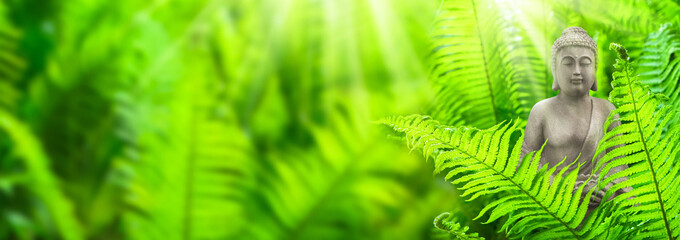 sunshine on a buddha statue in a green fern garden on blurred background, idyllic tranqulity in...