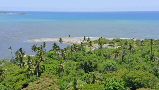 Aerial view of tropical bay with palm trees and Playa Boca del Soco during sunny day,