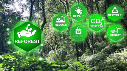 Reforest icons floating on the jungle background and ways to reduce carbon dioxide or CO2...