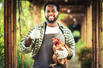 Portrait of Smiling African man farmer holding chicken in farm