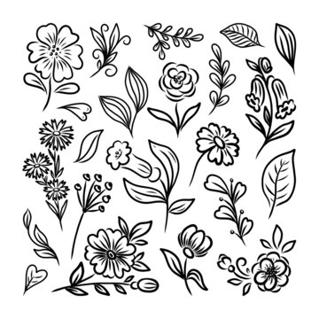 LARGE SET OF BLACK SILHOUETTES OF FLOWERS AND LEAVES ON A WHITE BACKGROUND IN VECTOR © elena