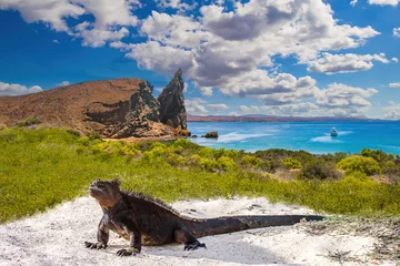 Foto op Canvas Galapagos Islands. Ecuador. Bartolome Island. Pinnacle Rock. Rocks in the water next to the sandy beach. Blue lagoon. Landscapes of the Galapagos. © Grispb