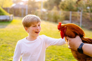 Domestic cock. Unrecognizable man showing chicken to child. Agriculture and Farm lifestyle and...