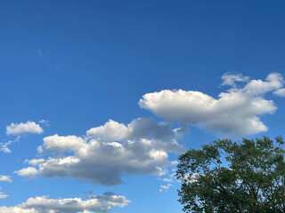 blue sky with clouds/trees
