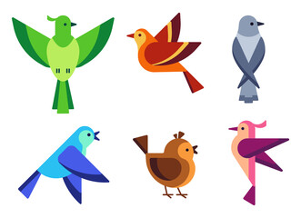 Flat colorful birds with wings. Bright flying characters with feathers in wildlife. Small singing pigeons and sparrows