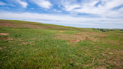 Fototapeta na wymiar Wind Cave National Park prairie grassland landscape.