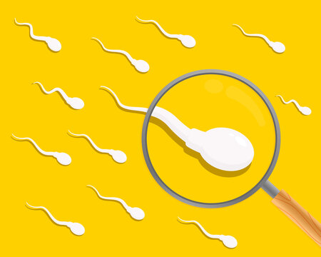Sperm. Spermatozoa and a magnifying glass. Sperm analysis. Spermogram. Semen. Vector illustration.