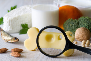 Bone shaped cheese, magnifier and bone strengthening foods products, concept osteoporosis and...