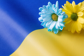 Ukrainian flag and blue-yellow flowers, idea concept 