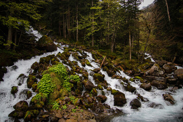 Una arroyo baja por el bosque formando una cascada en el Pirineo