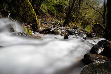 Una cascada baja por el bosque en los Pirineos