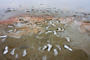 Opuksky Reserve. Salty Pink Lake - Koyashskoye Lake, Crimea, Russia
